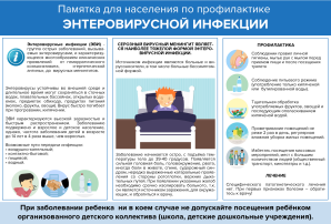 Профилактика энтеровирусной инфекции Профилактика энтеровирусной инфекции.